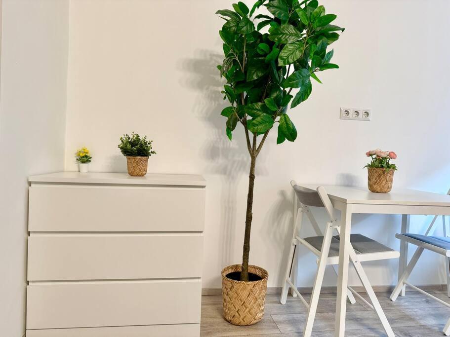 Easy Suites - Free Underground Parking Wien Ngoại thất bức ảnh